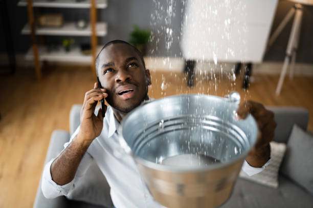 Best Flooded house restoration  in Lake Hallie, WI