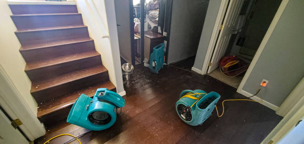 Best Water damage contractors near me  in Lake Hallie, WI