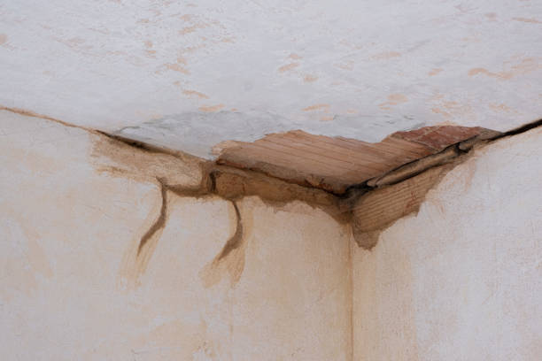 Best Commercial water damage restoration  in Lake Hallie, WI