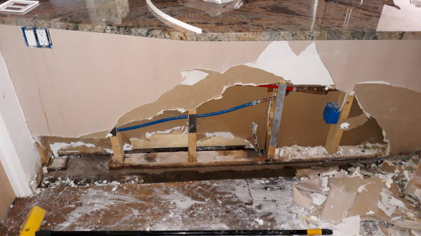 Best Water damage cleanup near me  in Lake Hallie, WI