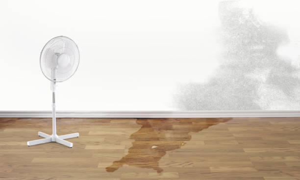 Best Water damage restoration near me  in Lake Hallie, WI