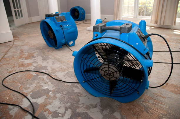 Best Flood damage cleanup  in Lake Hallie, WI
