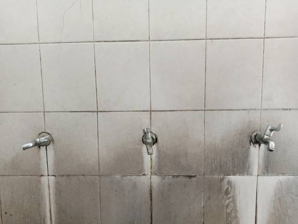 Best Water damage restoration near me  in Lake Hallie, WI
