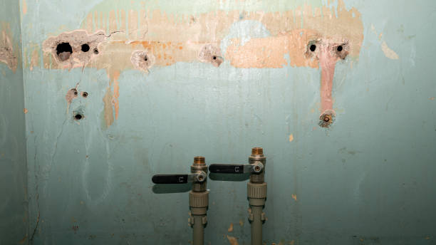 Best Emergency water extraction  in Lake Hallie, WI